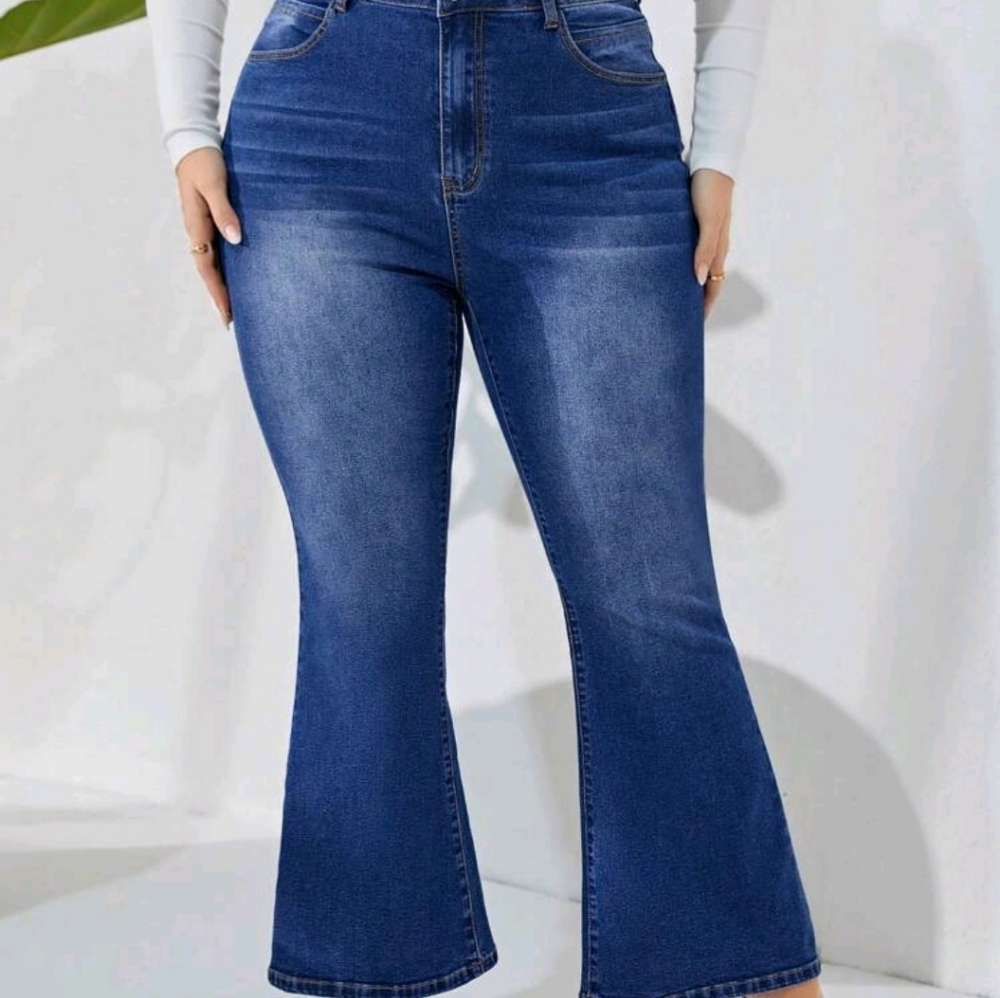 Plus Size Blue Jeand